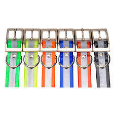Collars, Tags, & Leads