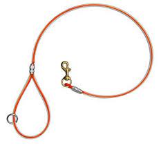 Cable Dog Lead