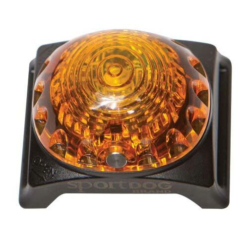 Sport Dog Tracking Light