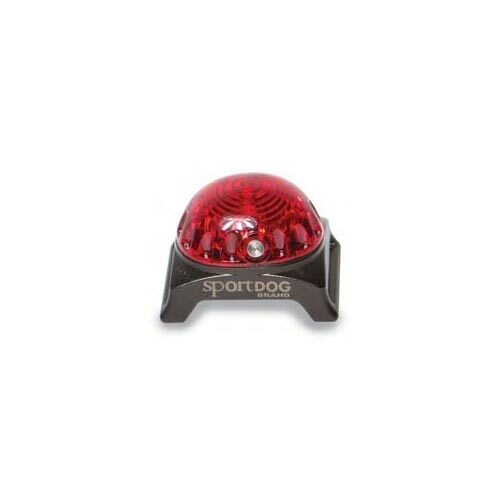Sport Dog Tracking Light